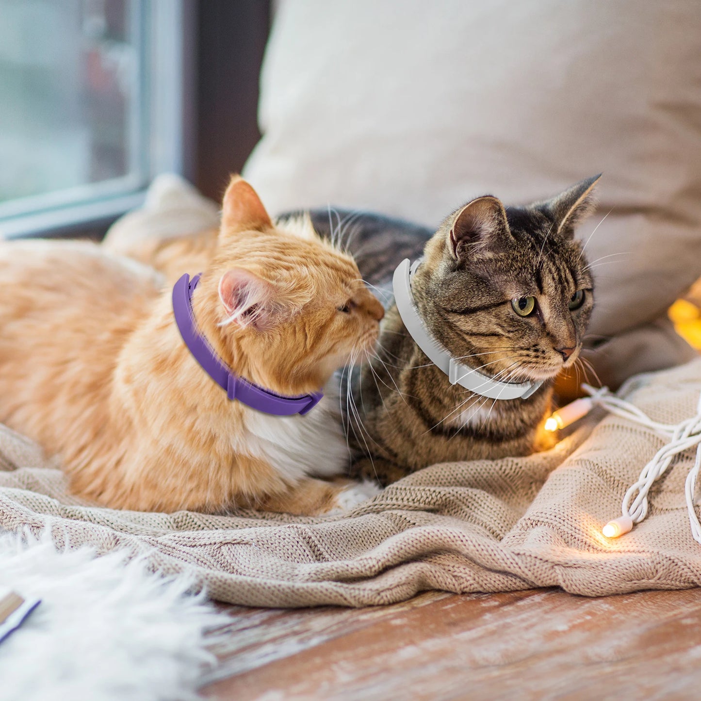 4Pcs Cat Calming Collar Relieve Anxiety Dog Pheromone Collar Waterproof Adjustable Pet Collars Lasting Natural Calm Relax Collar