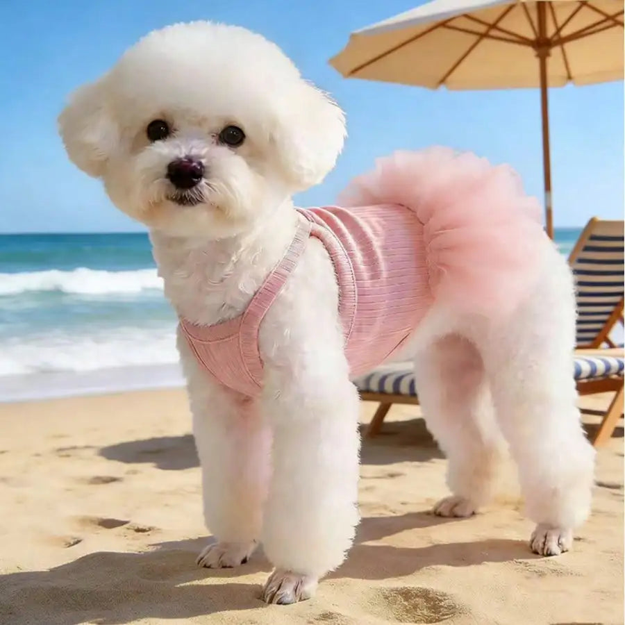 1pc Elegant Ballet Tulle Dress Pet Dog Clothes, Princess Dress Sleeveless Romantic Party Outfit, Suitable For Small Dogs, Cats, Cool Spring/Summer