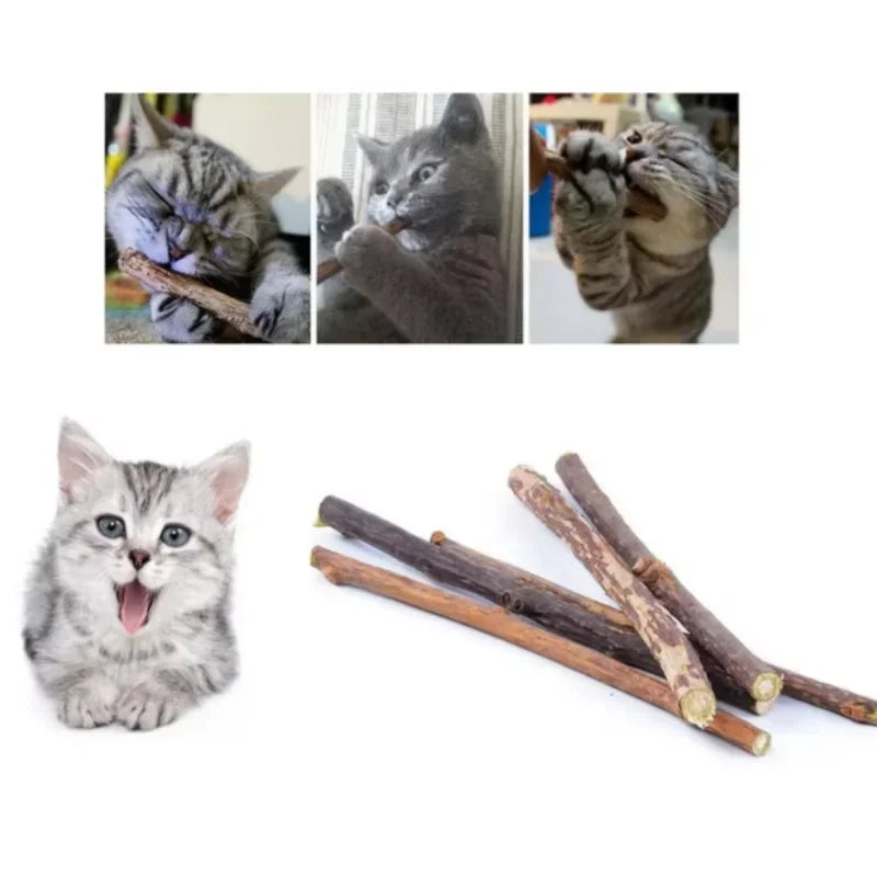 20 pcs/lot Catnip Stick Pet Cat Molar Toys Natural Wood Polygonum Sticks Cleaning Teeth Relieve Boredom Snacks Chews Toys