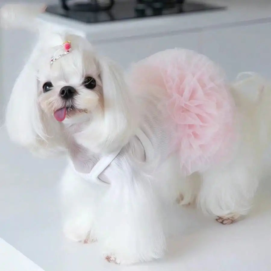 1pc Elegant Ballet Tulle Dress Pet Dog Clothes, Princess Dress Sleeveless Romantic Party Outfit, Suitable For Small Dogs, Cats, Cool Spring/Summer