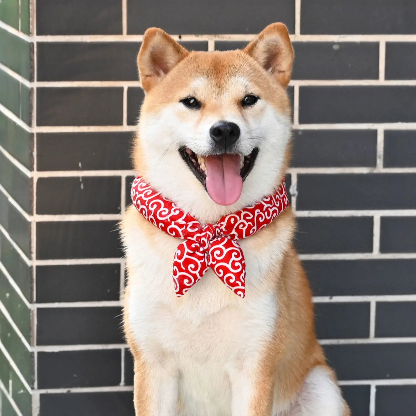 Dog Bandanas Akita Shiba Scarf Soft Collar Washable Bow Accessories Japanese farmhouse Style Cotton dogs Bibs Pet Fashion