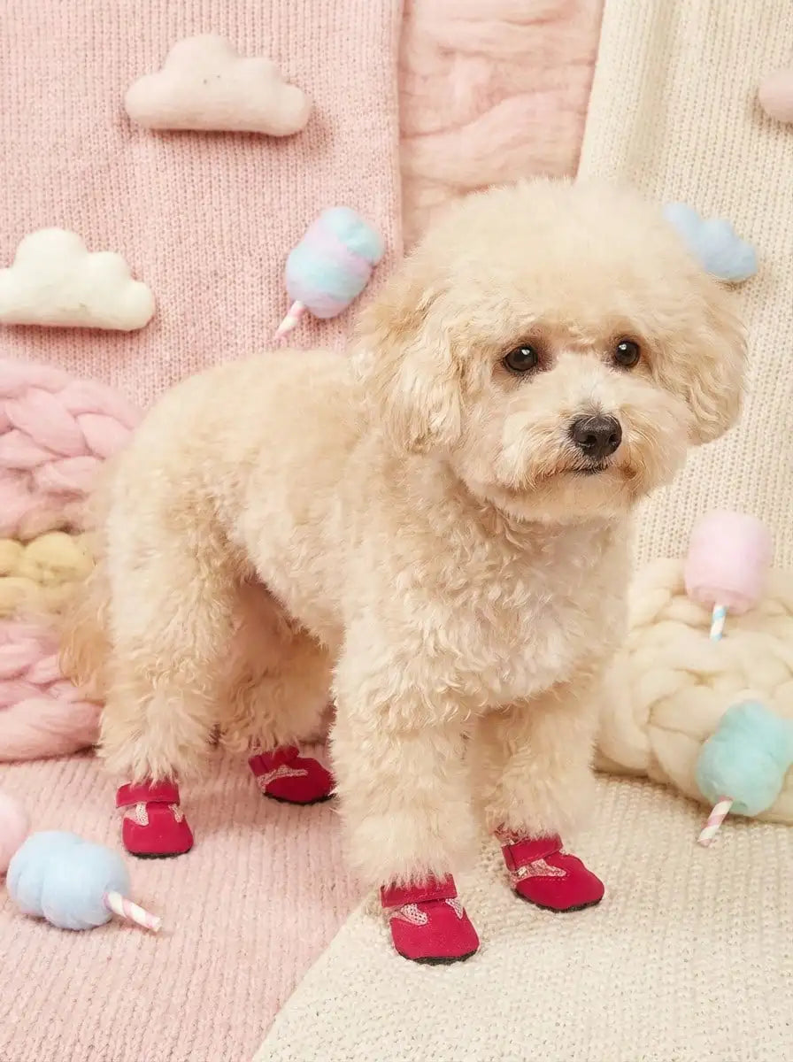 Summer Pet Shoes, Dog Breathable Mesh Casual Soft Bottom Indoor Shoes For Teddy, Poodle