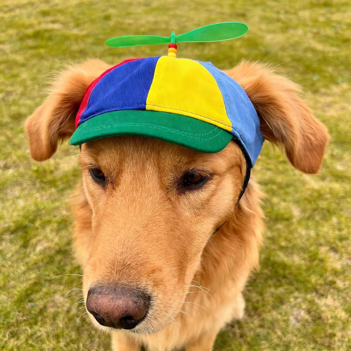 Propeller Halloween Costume Accessory For Cats Dogs Cute Funny Colorful Pets Rainbow Helicopter Hat Baseball Cap