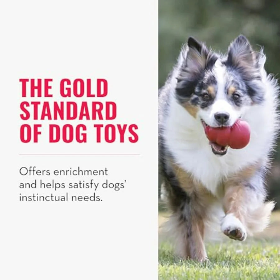 Classic Stuffable Dog Toy - Fetch and Chew Toy for Dogs - Treat-Filling Capabilities and Erratic Bounce for Extended Play Time