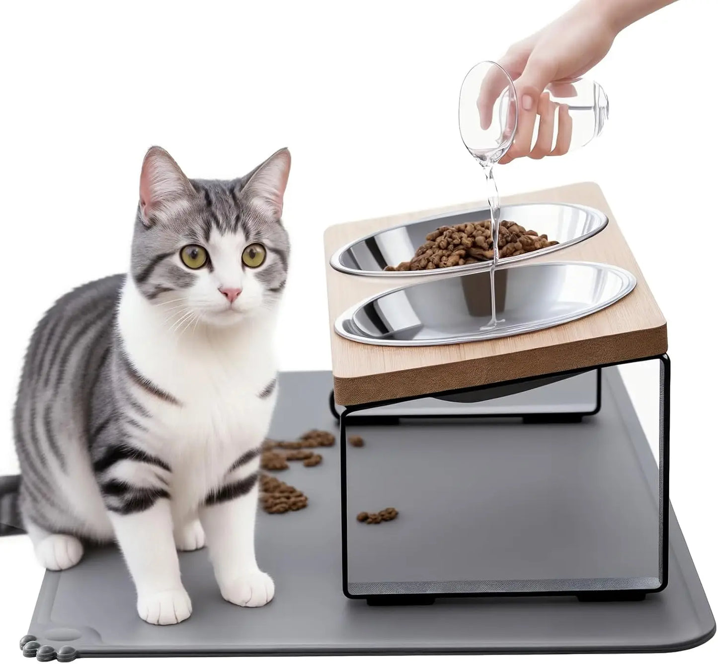 Upgraded Elevated Cat Bowls with Food Mat,15°Tilted Stand Anti Vomiting Raised Cat Dishes for Food and Water,2 Stainless Steel B