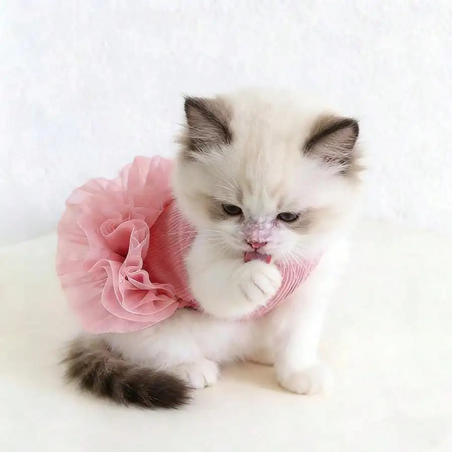 1pc Dog Pink Tutu Clothes Valentine Day Dresses Small Doggy Pet Sweet Outdoor Birthday Party Festival Outfit