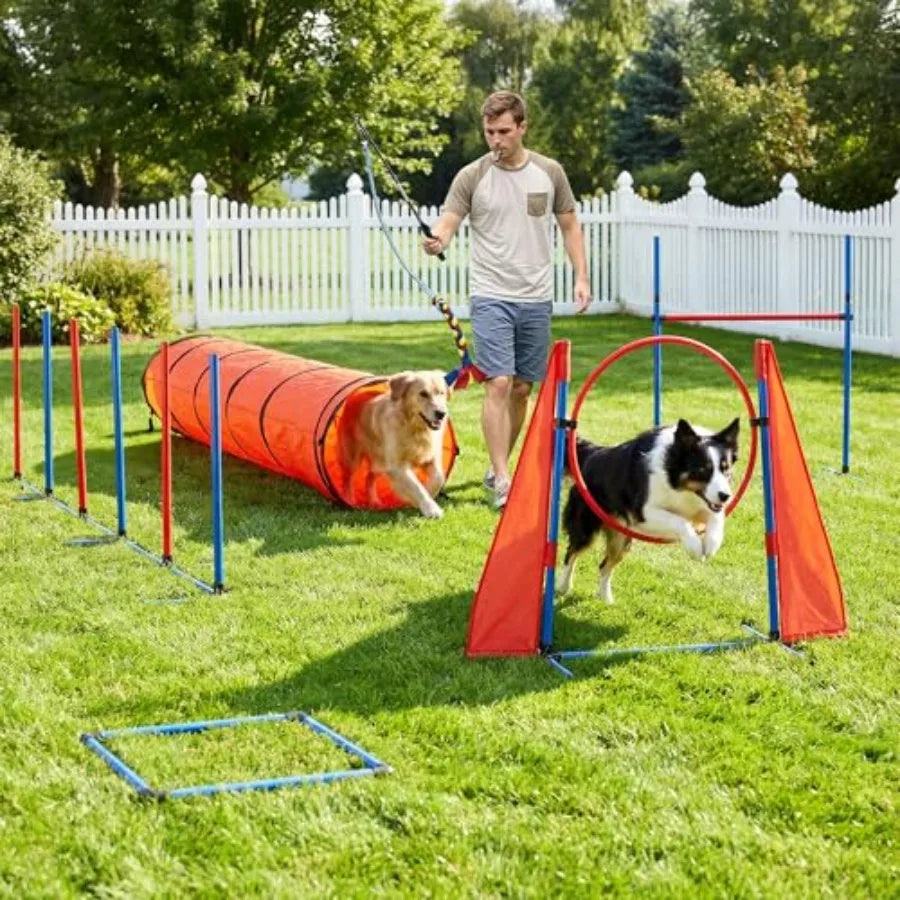 Dog Agility Accessories Kit: Comprises of a Teaser Pole, 2 Hurdles, 6 Weaving Poles, Agility Tunnel, Pause Box, Full Set of Agi