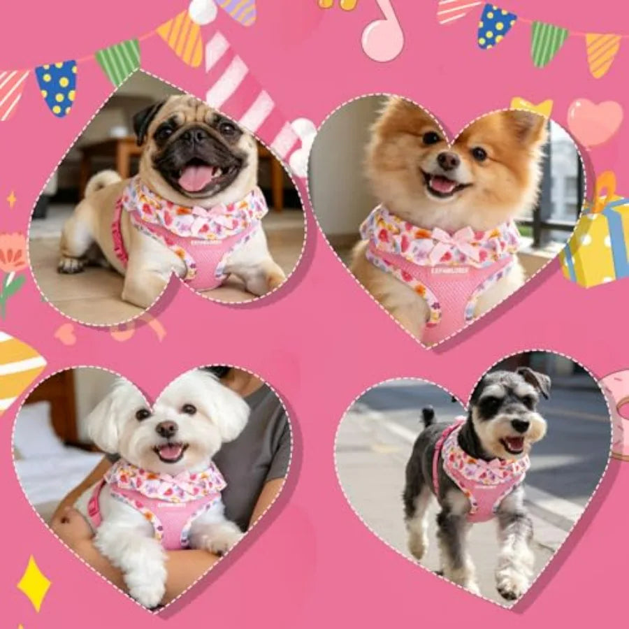 Cute Dog Harness Collar Leash Set - Girl Dog Harness Checke Step-in Design, Adjustable No-Choke Lightweight Mesh Vest for Cats