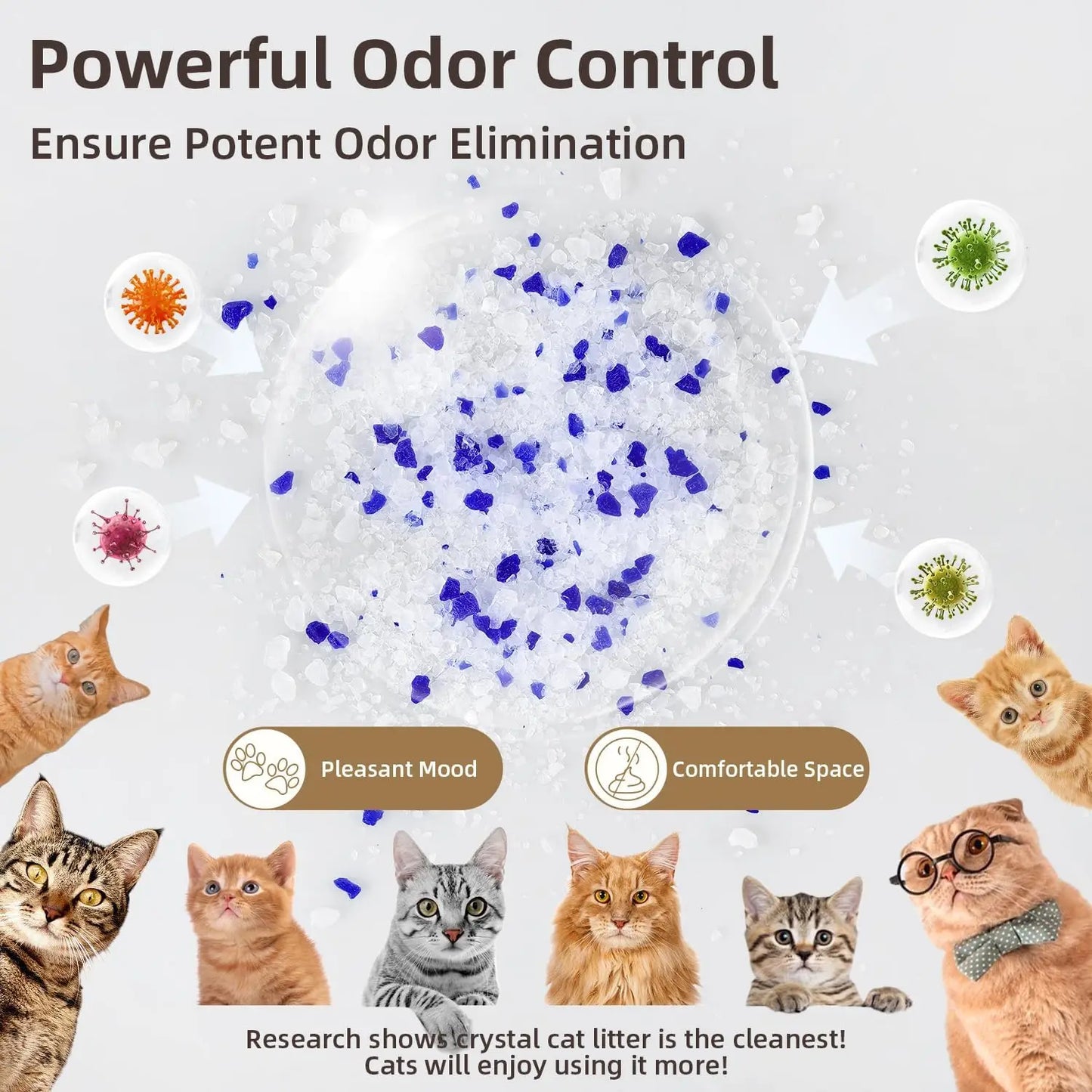 Premium Crystal Cat Litter - 8.6 lb, Long-Lasting Odor Control & Absorption, Non-Clumping, Low Tracking Silica Gel Safe for Pets