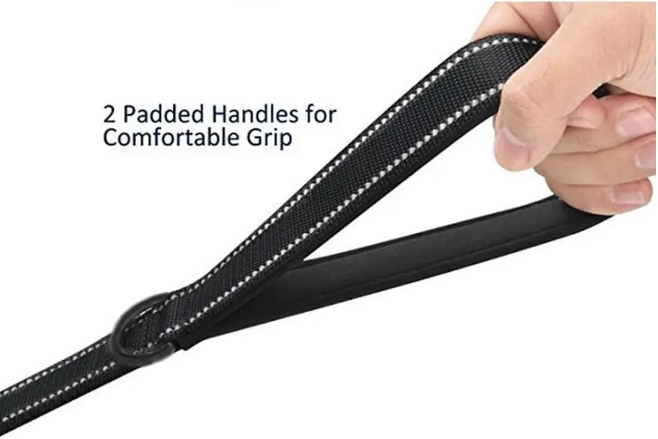 Heavy Duty Dog Leash with 2 Handles for Extra Control, 6 ft Long, Ideal for Medium to Large Dogs