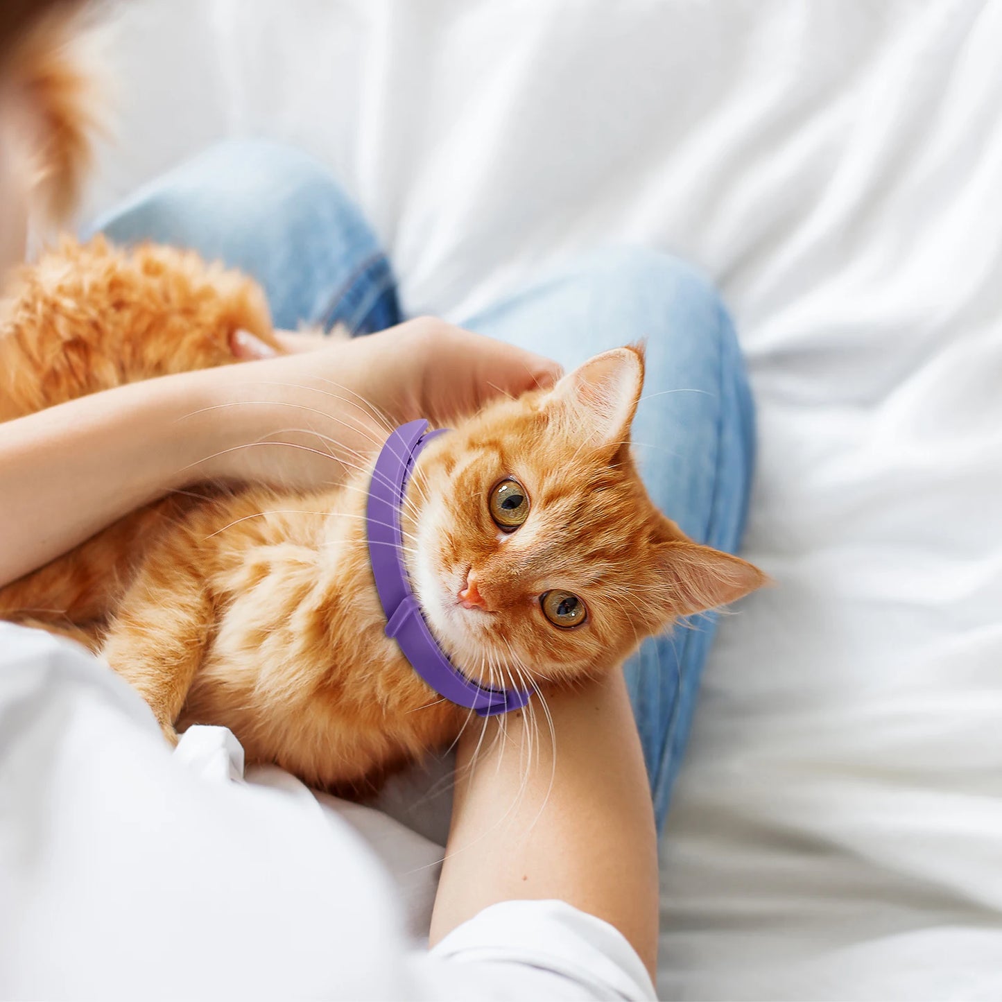 4Pcs Cat Calming Collar Cat Pheromone Collar Adjustable Calming Pheromone Collar Anti- Helps with Aggression Pet Supplies