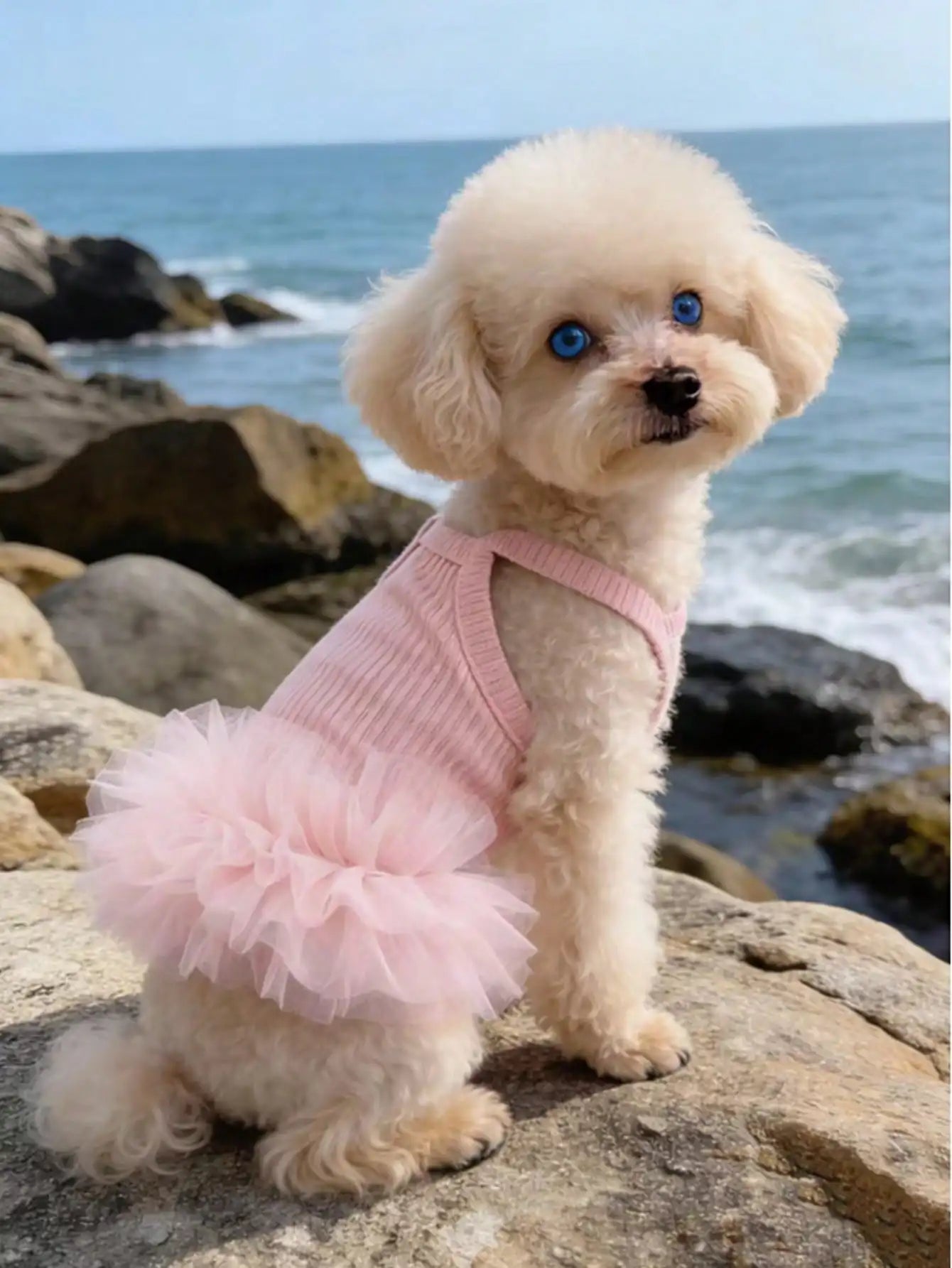 1pc Elegant Ballet Tulle Dress Pet Dog Clothes, Princess Dress Sleeveless Romantic Party Outfit, Suitable For Small Dogs, Cats, Cool Spring/Summer