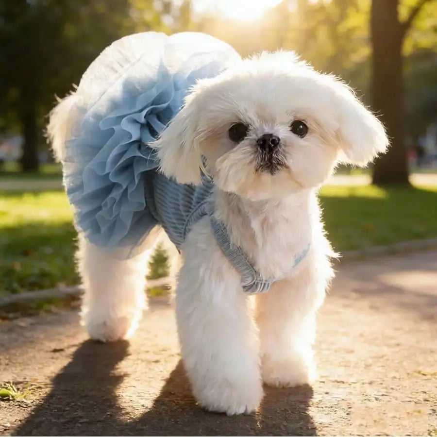 1pc Elegant Ballet Tulle Dress Pet Dog Clothes, Princess Dress Sleeveless Romantic Party Outfit, Suitable For Small Dogs, Cats, Cool Spring/Summer