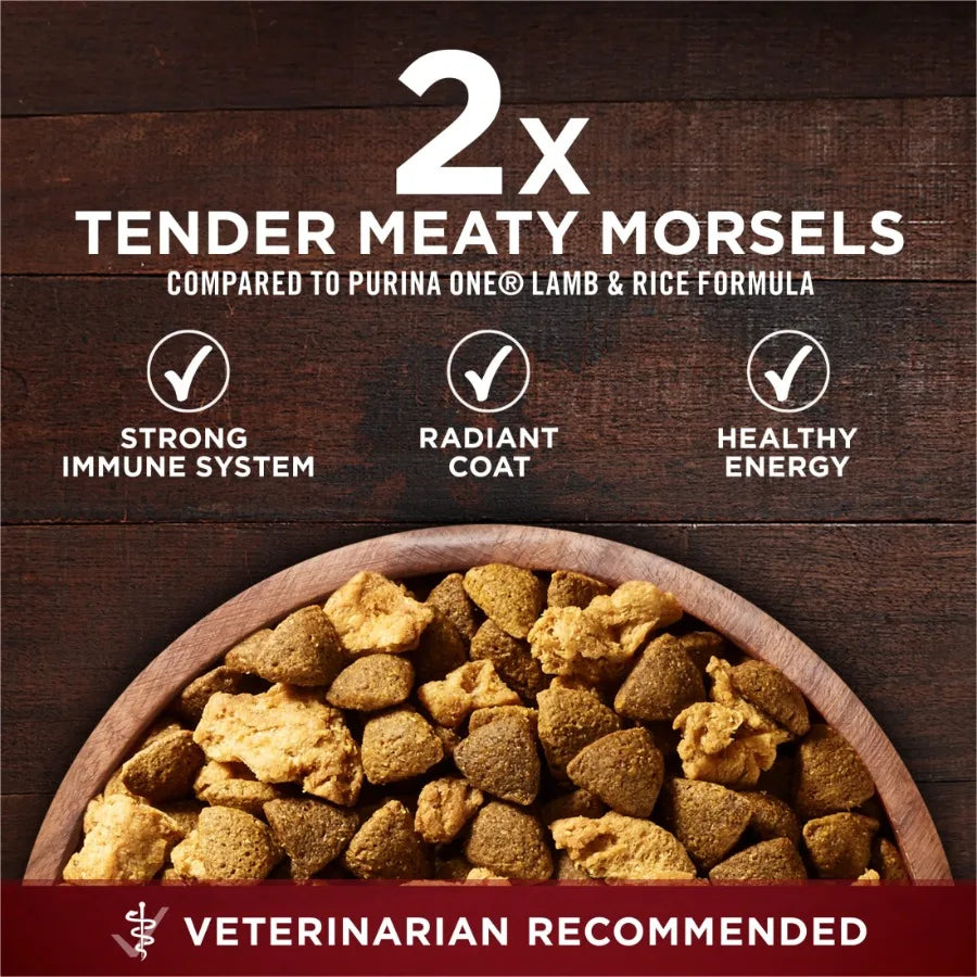 True Instinct With Real Salmon and Tuna Natural With Added Vitamins, Minerals and Nutrients High Protein Dog Food Dry Formula,