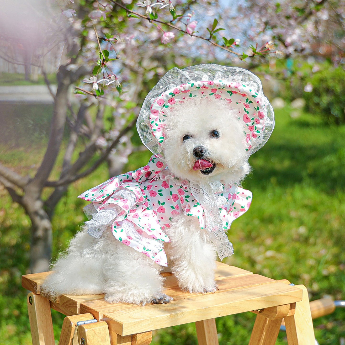 Pet Sun Hat with Floral Print and Lace Trim Double Layer Polyester Bonnet for Outdoor Dog Protection and Style