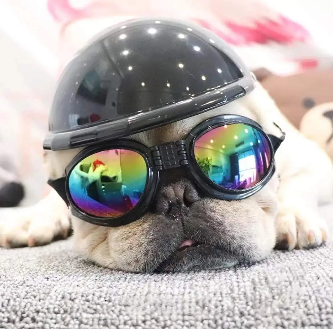 ATUBAN Pet Helmet and Goggles Set, 2 PCS Helmet and Sunglasses Pet Cap Hard Hat Adorable Puppy Goggles for Small Pets