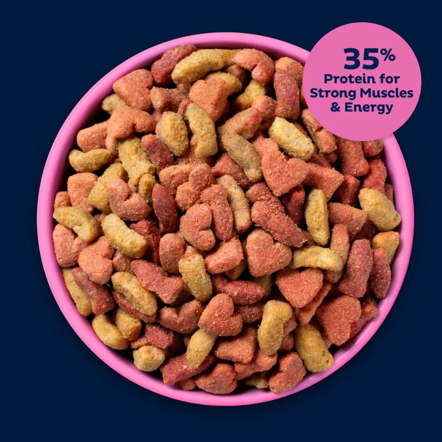 PLUS High Protein Dry Cat Food, 15.5 lb. Bag