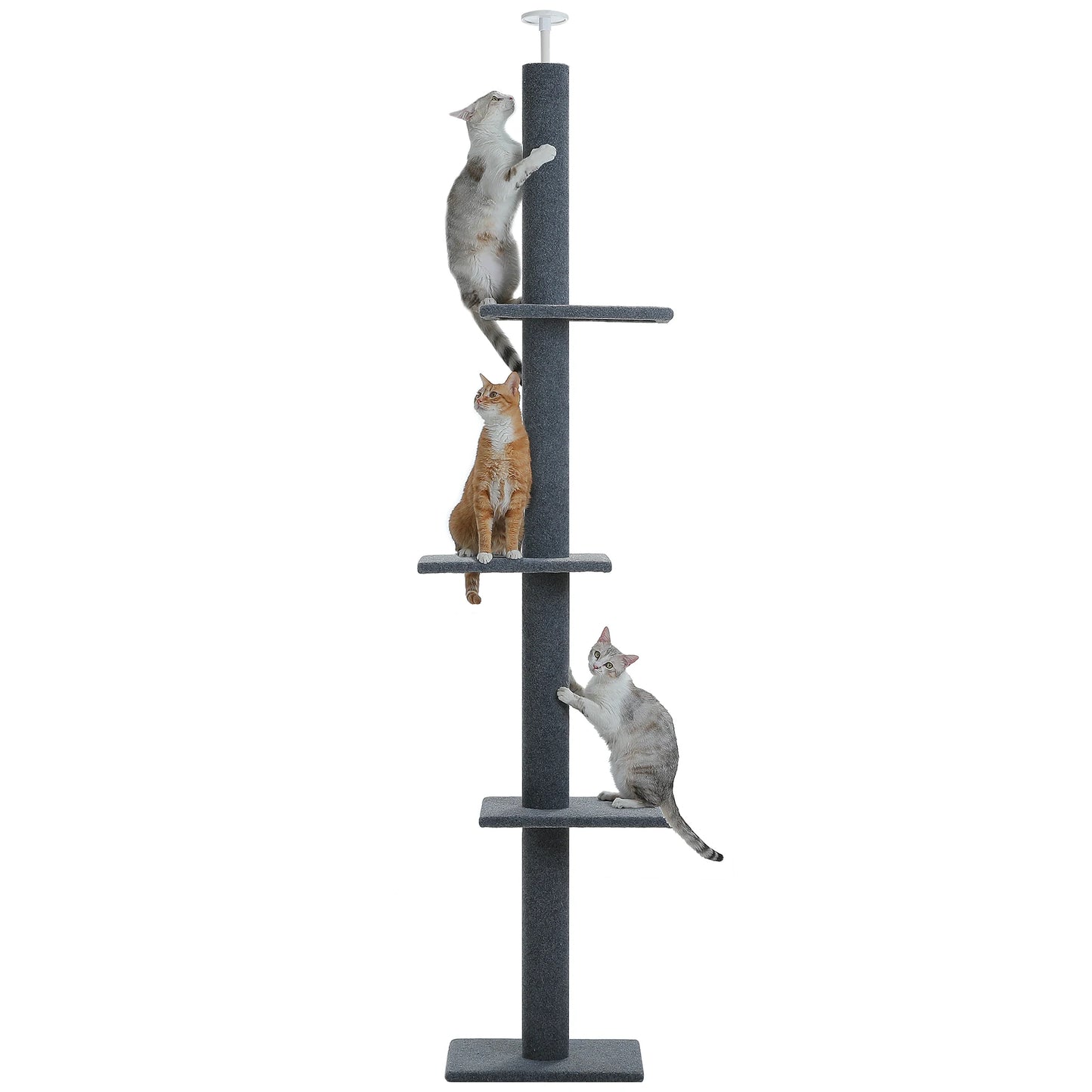 Floor to Ceiling Cat Tower for Indoor Adjustable Height Tall Cat Tree with Scratching Posts and Platforms Cat Scratcher Cat Toys