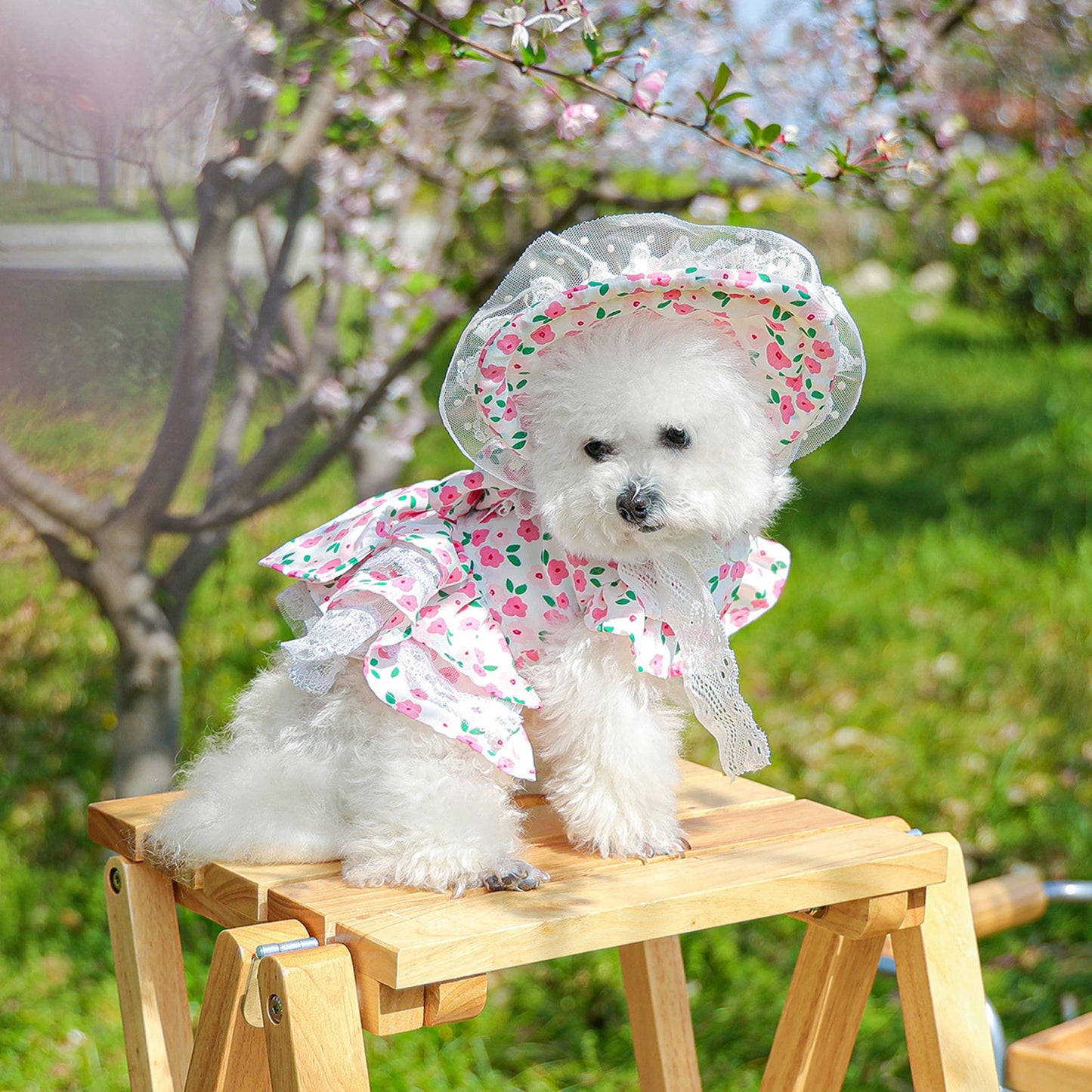 Pet Sun Hat with Floral Print and Lace Trim Double Layer Polyester Bonnet for Outdoor Dog Protection and Style