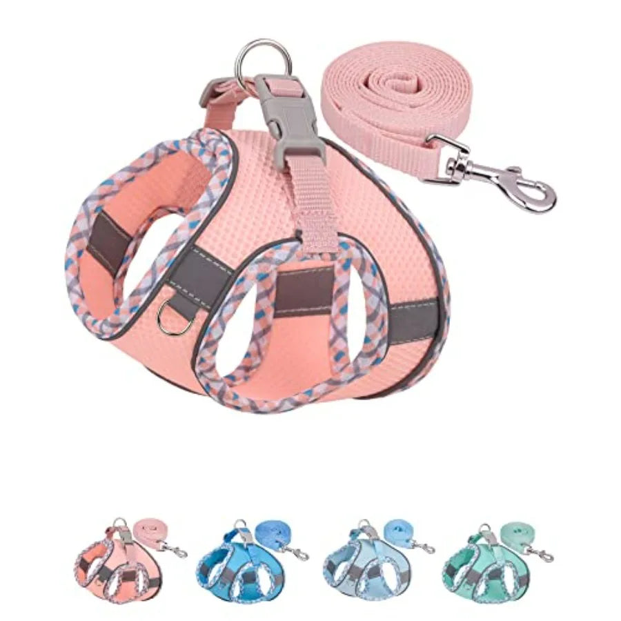 Dog Harness for Small Medium Dogs No Pull, Puppy Harness and Leash Set, Step in Dog Harness for Walking, Running, Training, Sma