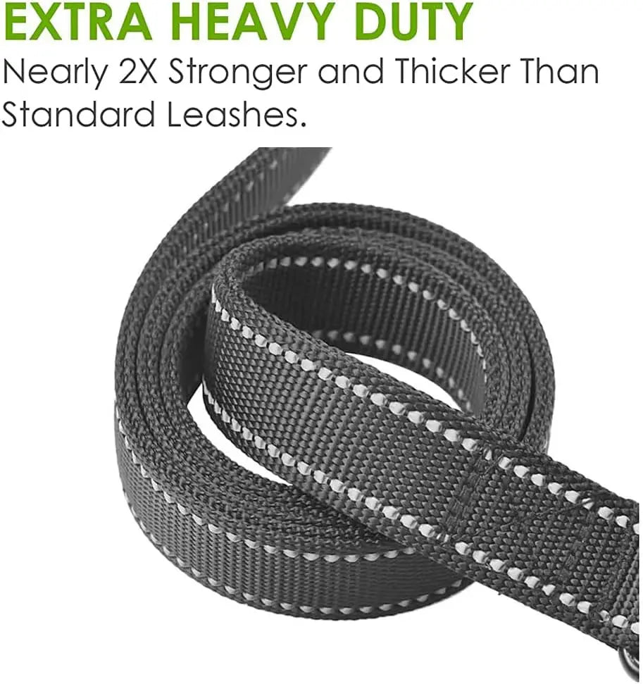 Heavy Duty Dog Leash with 2 Handles for Extra Control, 6 ft Long, Ideal for Medium to Large Dogs