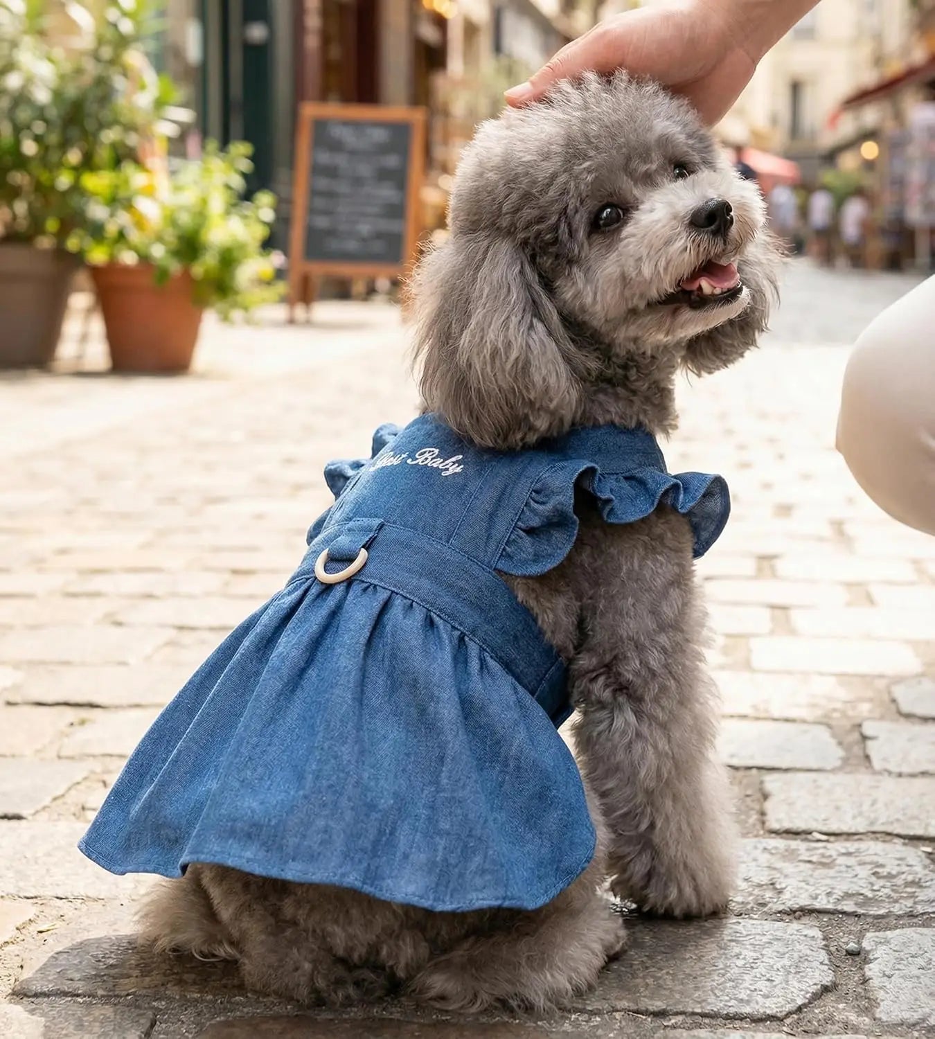 Denim Cat Dog Dress for Small Dogs with Leash Ring Summer Outfit for Girl