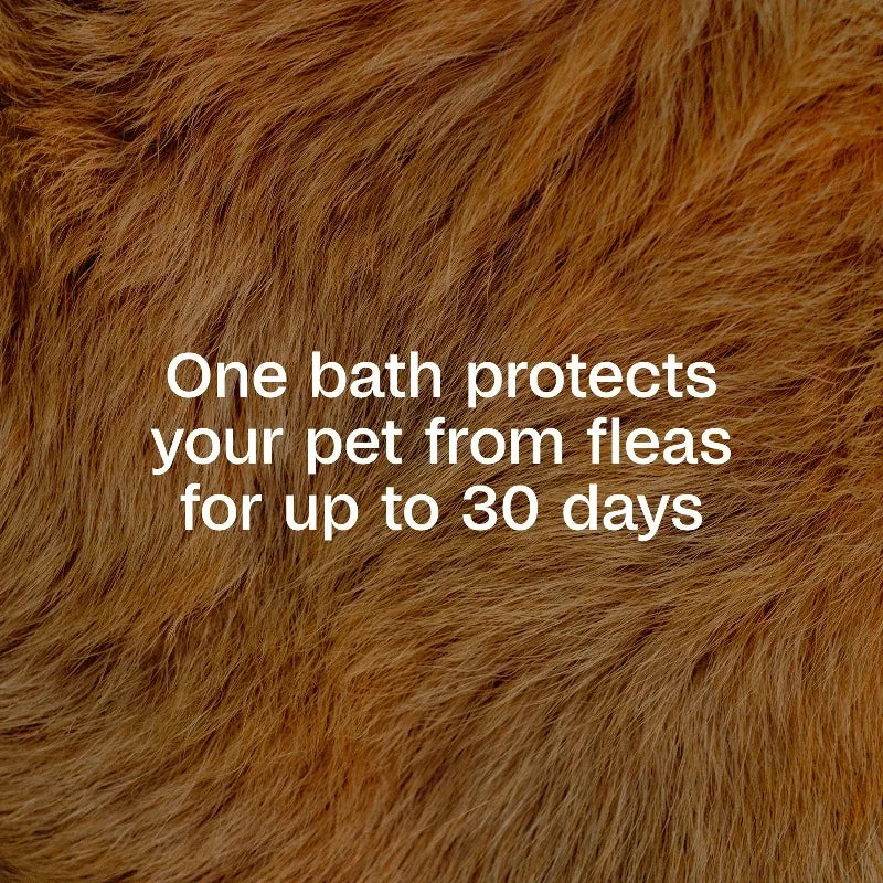 Flea & Tick Cleansing Shampoo for Dogs, Cats, Puppies & Kittens, Flea Shampoo to Treat Flea Infestations, Kills Ticks, Fleas,