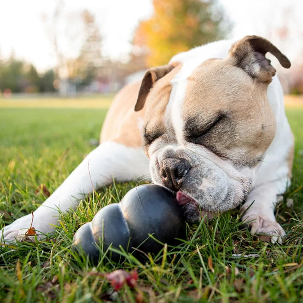 Extreme Dog Toy - Fetch & Chew - Treat-Filling, Erratic Bounce - Durable Natural Rubber - for Power Chewers, Large Dogs