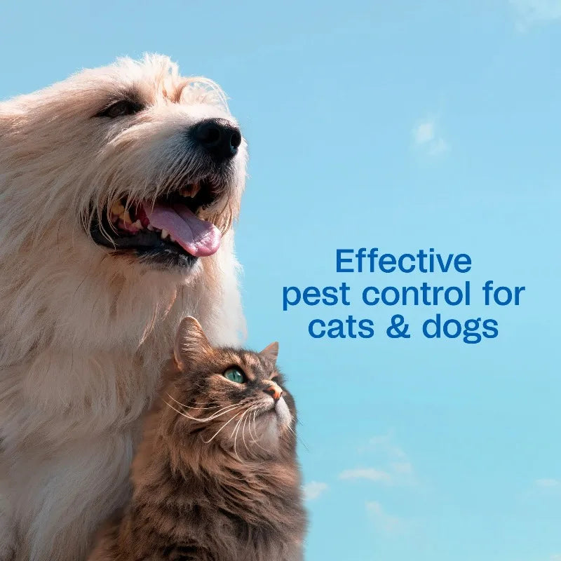 Flea & Tick Cleansing Shampoo for Dogs, Cats, Puppies & Kittens, Flea Shampoo to Treat Flea Infestations, Kills Ticks, Fleas,