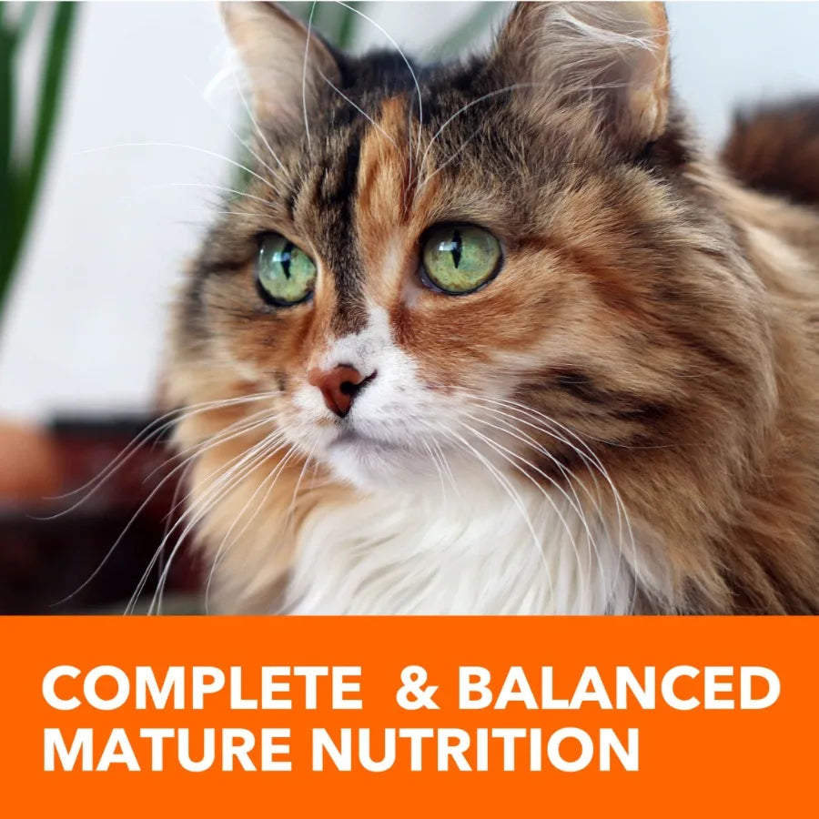 Proactive Health Chicken Dry Cat Food For Senior Cats, 7 Lb Bag
