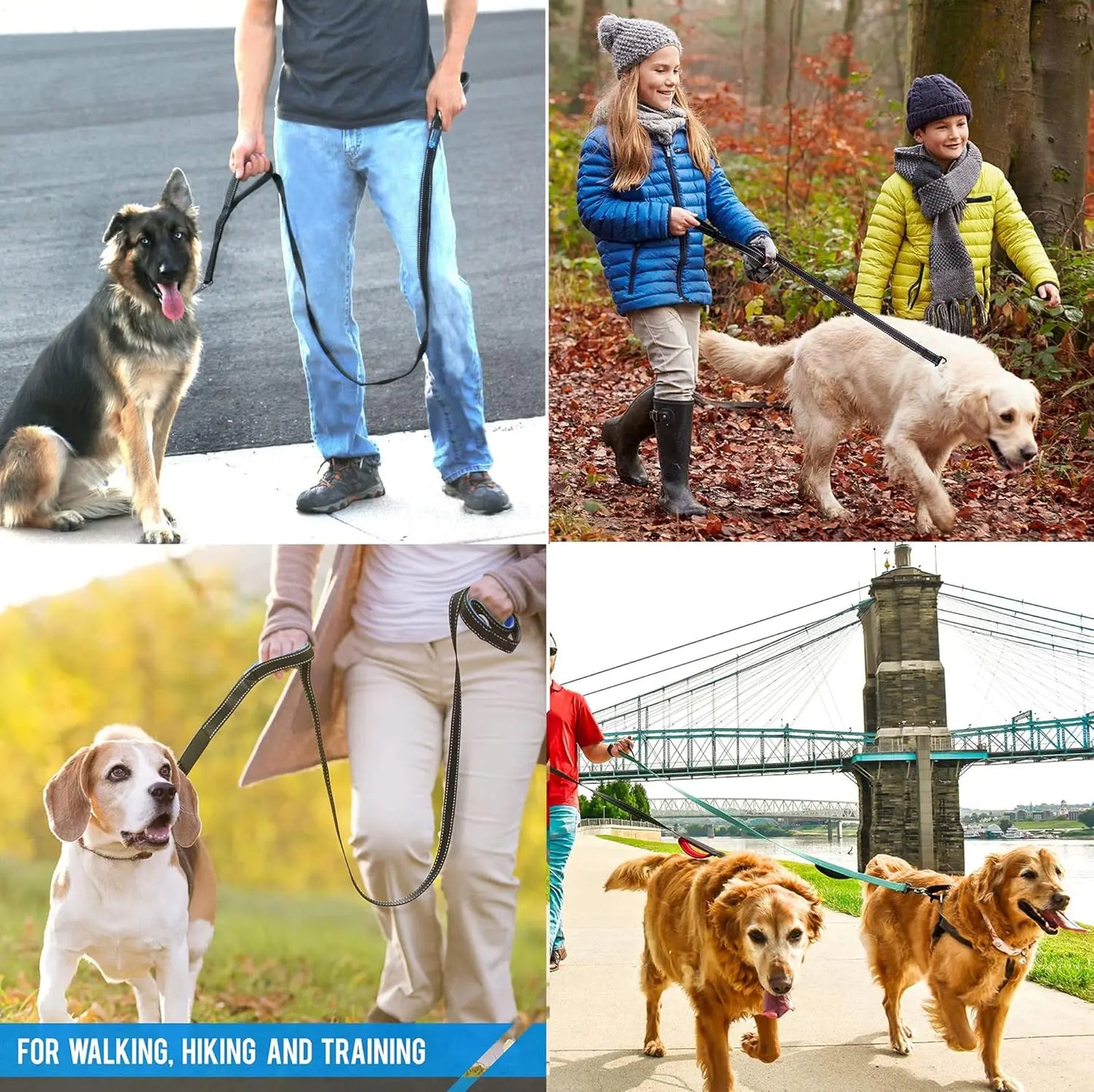 Heavy Duty Dog Leash with 2 Handles for Extra Control, 6 ft Long, Ideal for Medium to Large Dogs
