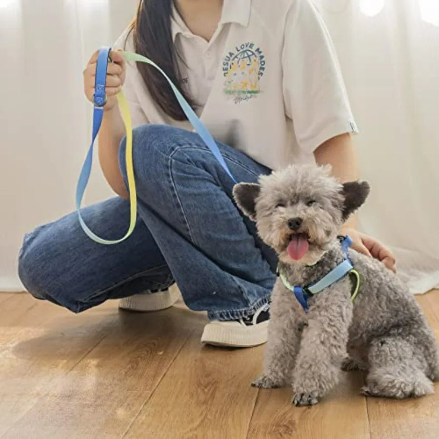 No Pull Dog Harness and Leash and Collar - Adjustable Basic Collar with A Heavy Duty Leash - Super Sturdy Buckle and D Ring - T