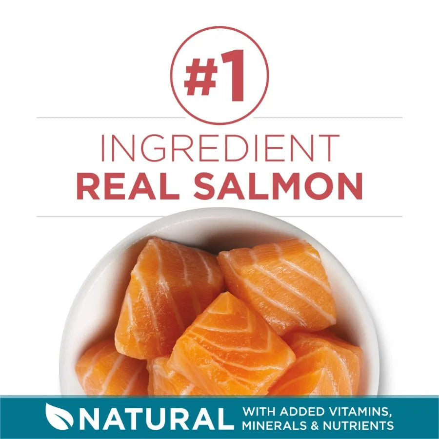 Tender Selects Blend With Real Salmon Digestive Care Natural Dry Cat Food, 7 lb.