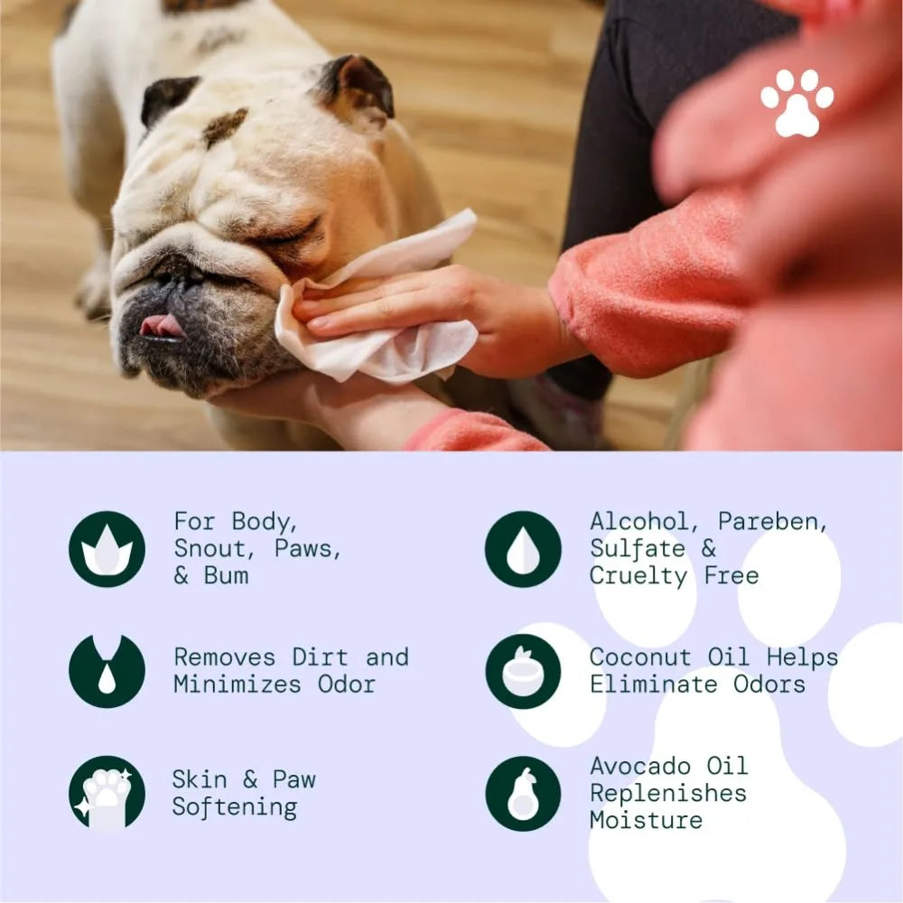 Hypoallergenic All-Natural Multi-Purpose Pet Wipes, Unscented 50ct