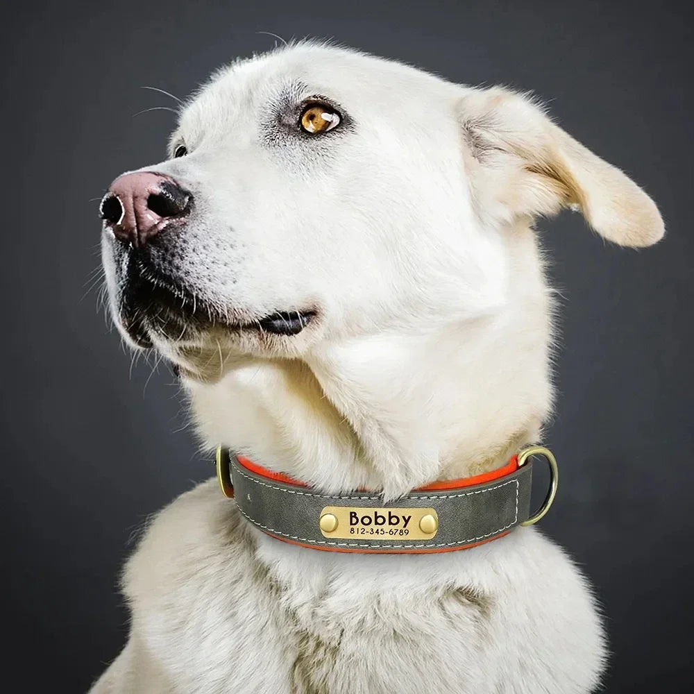 Personalized Customized Leather ID Nameplate Dog Collar Soft Padded Dogs Collars Free Engraving Name for Small Medium Large Dogs
