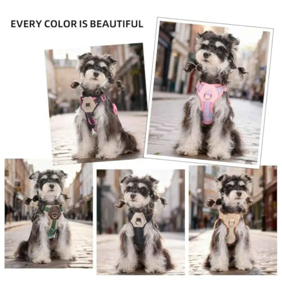 Small Dog Harness and Leash Set, Breathable Mesh Puppy Harness, Adjustable Dog Harness for Small Medium Large Dogs, No-Pull Pet