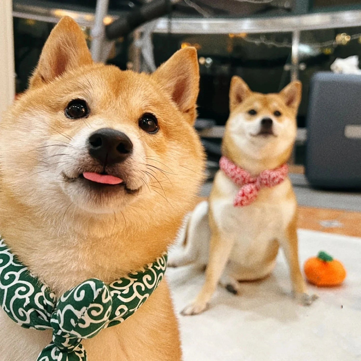 Dog Bandanas Akita Shiba Scarf Soft Collar Washable Bow Accessories Japanese farmhouse Style Cotton dogs Bibs Pet Fashion