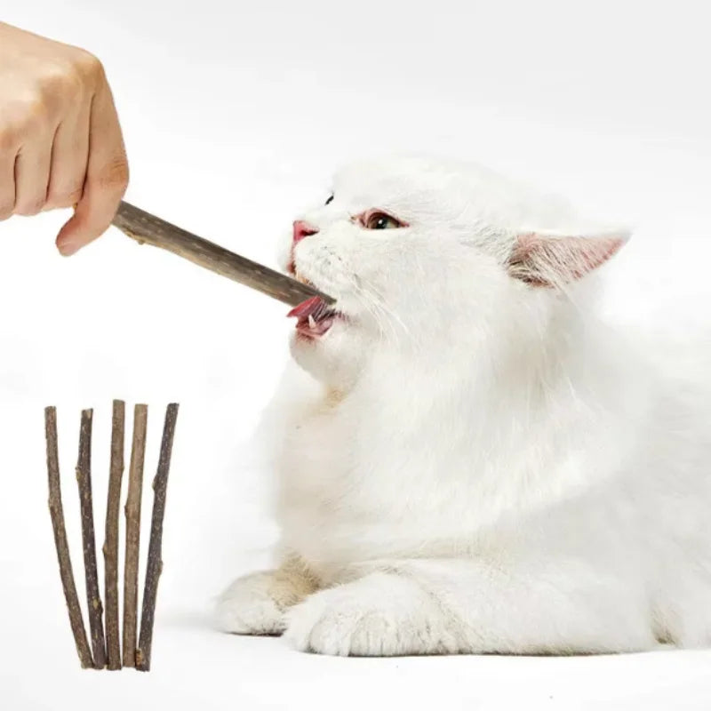 20 pcs/lot Catnip Stick Pet Cat Molar Toys Natural Wood Polygonum Sticks Cleaning Teeth Relieve Boredom Snacks Chews Toys