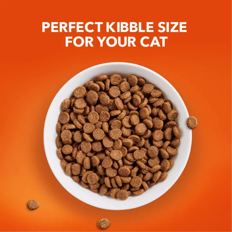 Proactive Health Chicken Dry Cat Food For Senior Cats, 7 Lb Bag
