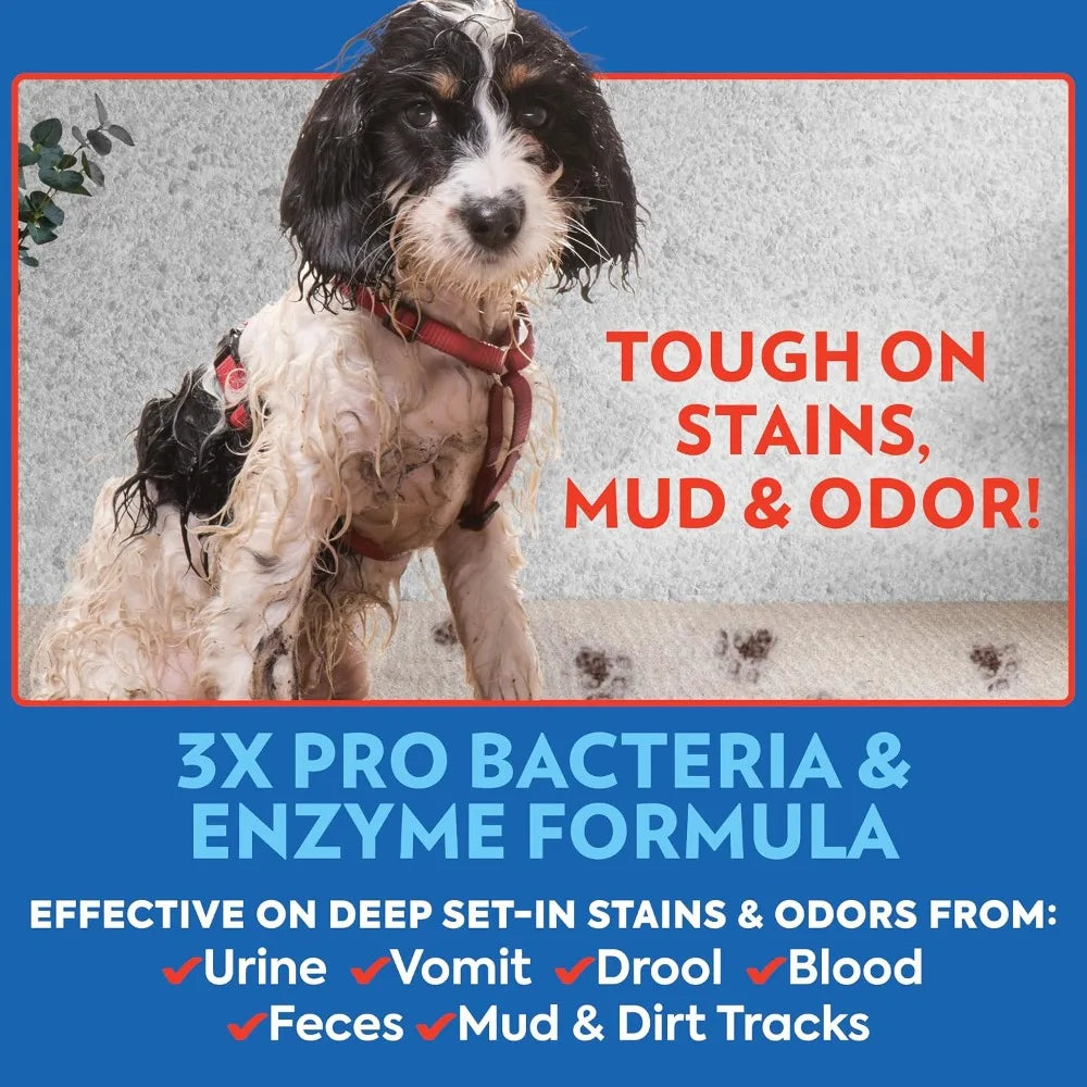 Pet Odor & Stain Remover Spray, Carpet & Floor Cleaner, Deodorizer for Dogs & Cats, 32 fl oz (2 Pack)
