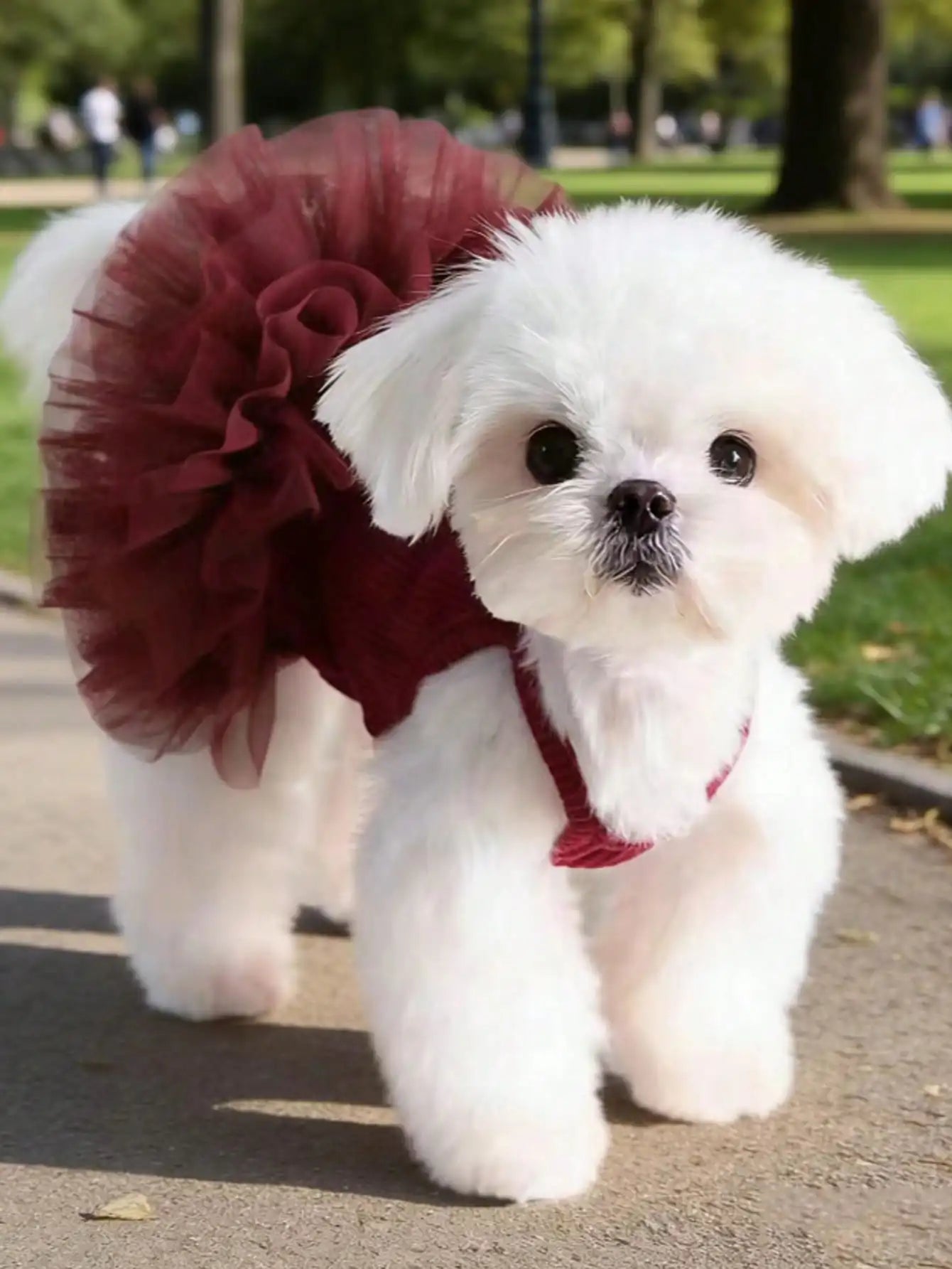 1pc Elegant Ballet Tulle Dress Pet Dog Clothes, Princess Dress Sleeveless Romantic Party Outfit, Suitable For Small Dogs, Cats, Cool Spring/Summer