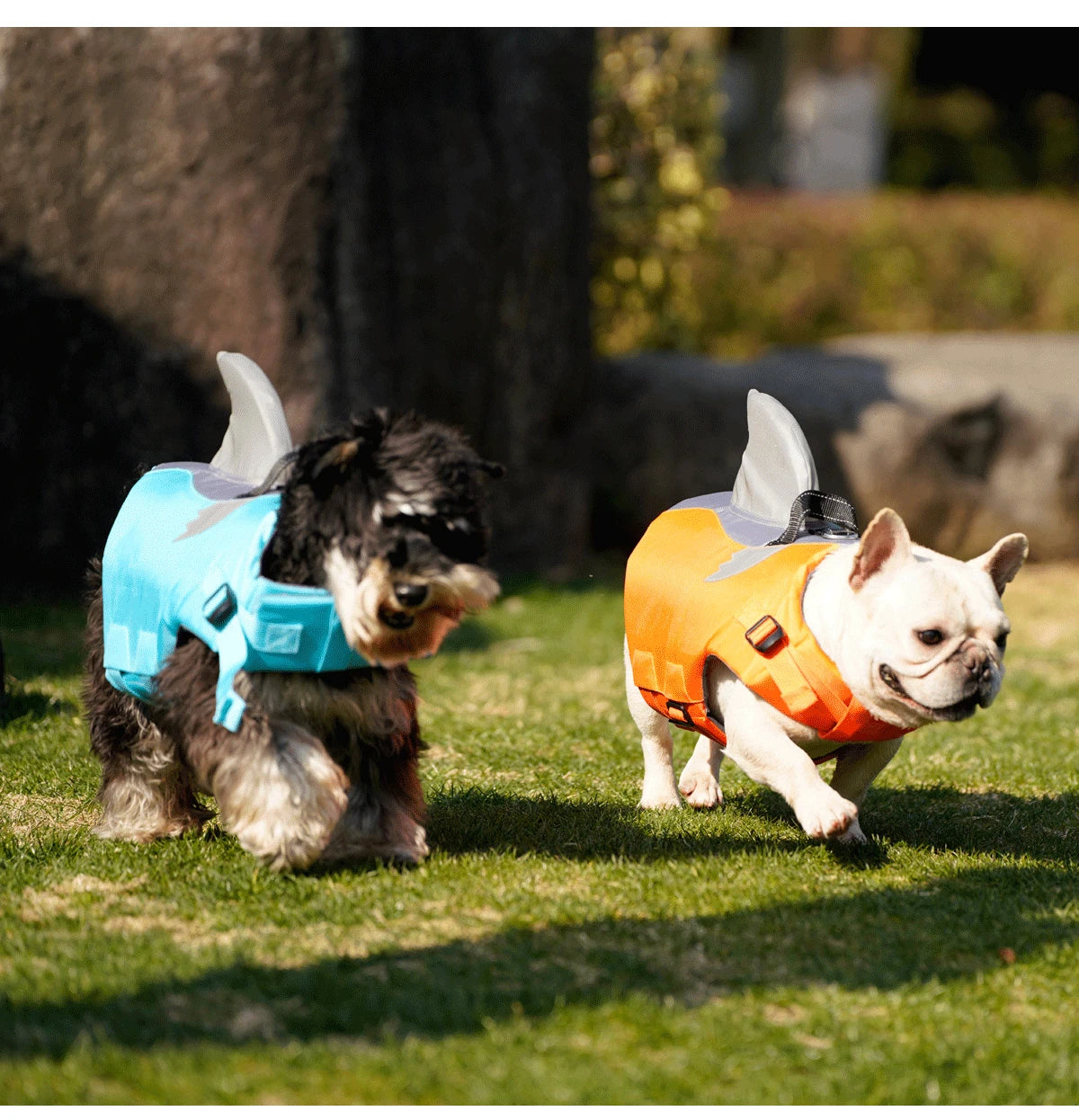 Dog Life Jacket High Buoyancy Dog Safety Vest with Rescue Handle for Small Medium Large Dogs Reflective Swim Vest