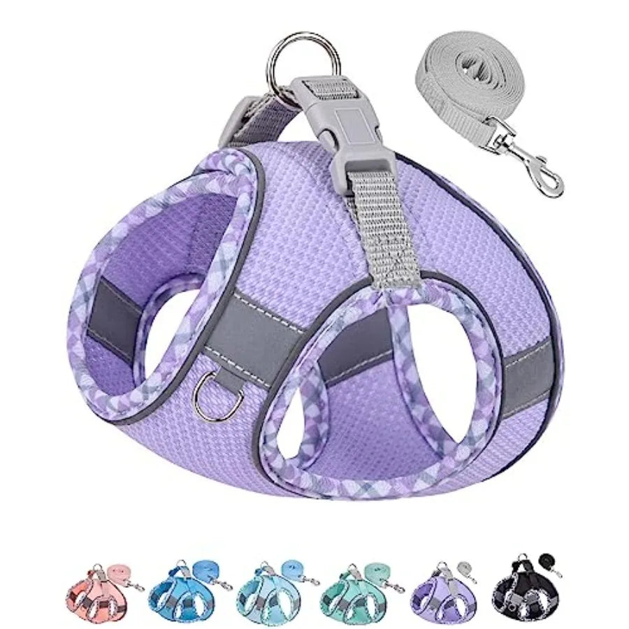 Dog Harness for Small Medium Dogs No Pull, Puppy Harness and Leash Set, Step in Dog Harness for Walking, Running, Training, Sma