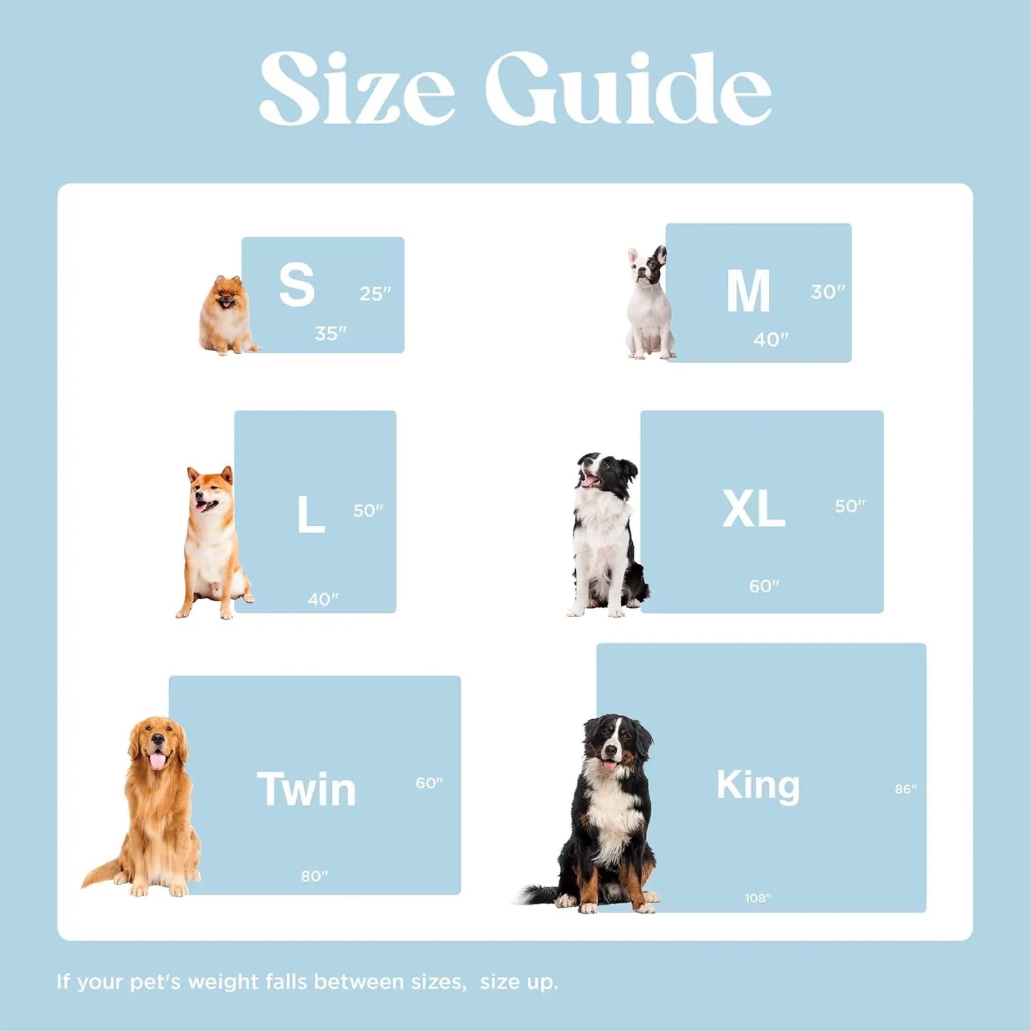Waterproof Puppy Blanket for Small Dogs - Washable Double Sided Pet Blanket with Sherpa & Shag, Blue