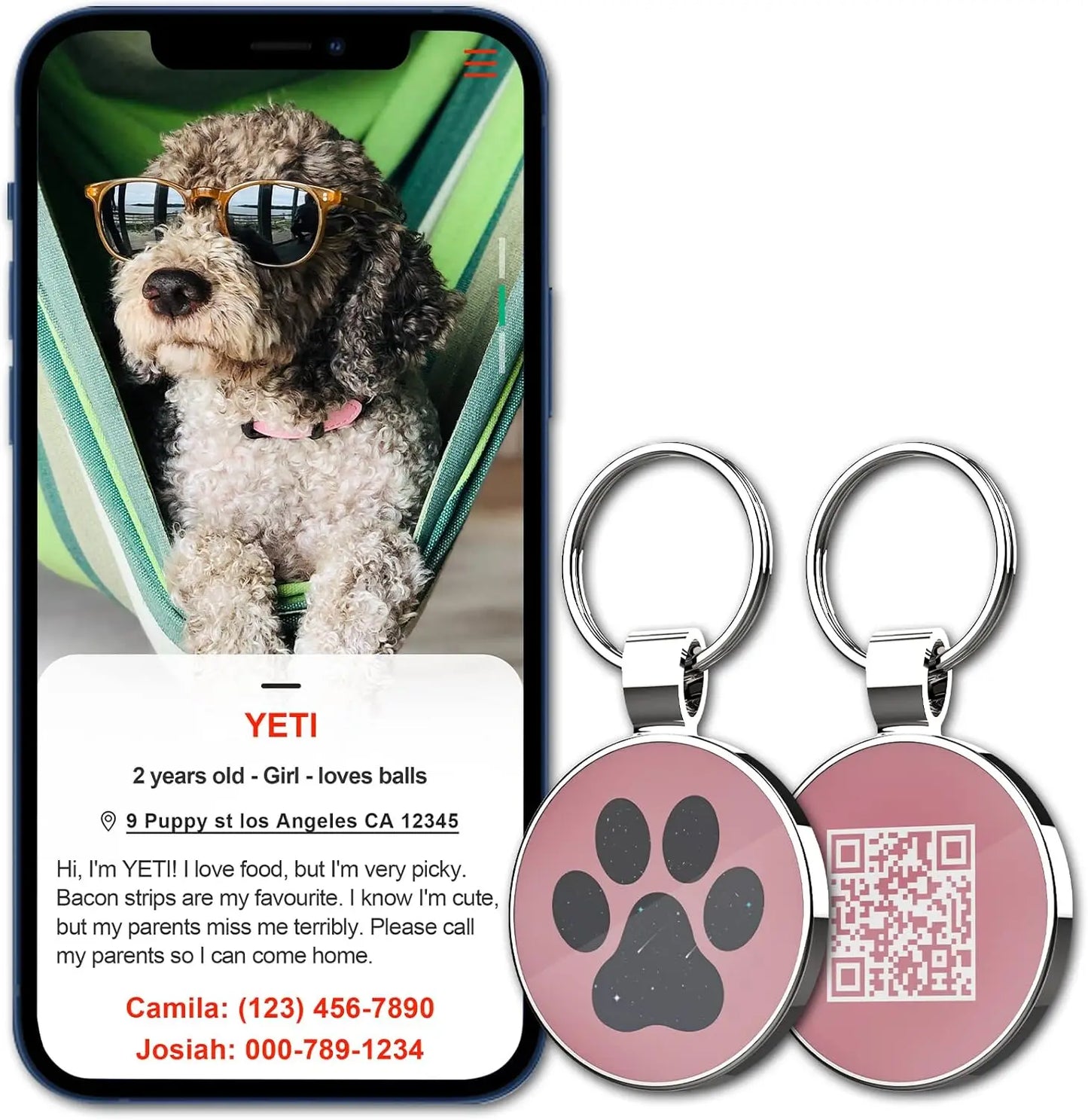 Personalized QR Code Pet Collar Tag with Instant Location Alert Email for Dogs & Cats