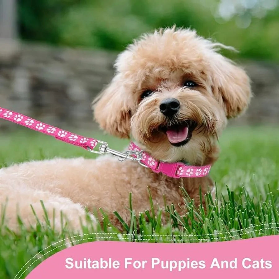 Purple Small Dog Collar and Leash Set, Pawprint Puppy Collar and Leash Adjustable Kitten Collar with Bell for Tiny Little XXS X