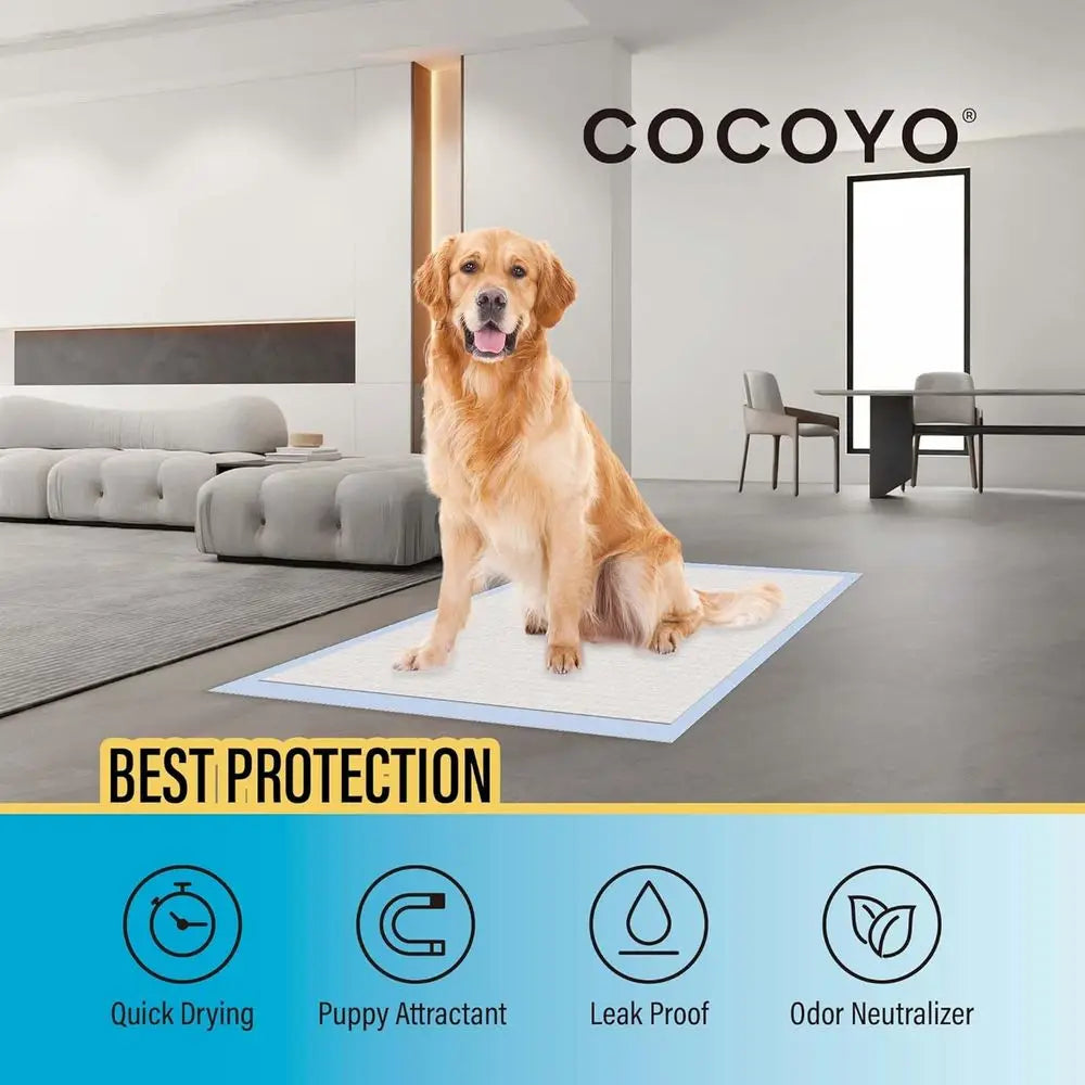 Large Size Dog Training Pads - Eliminating Urine Odor Puppy Pads - Premium Dog Pee Pads Value Pack (30 Count, L 26x30 inch)