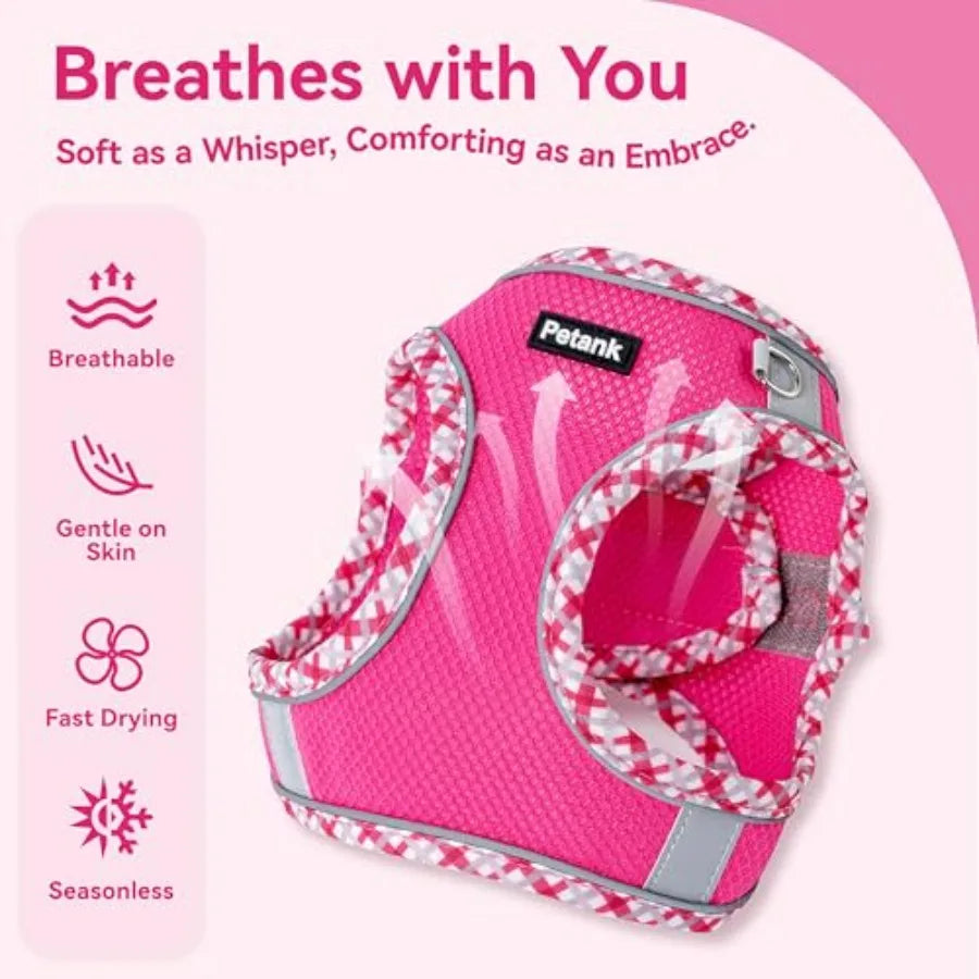 Dog Harness for Small Medium Dogs No Pull, Puppy Harness and Leash Set, Step in Dog Harness for Walking, Running, Training, Sma