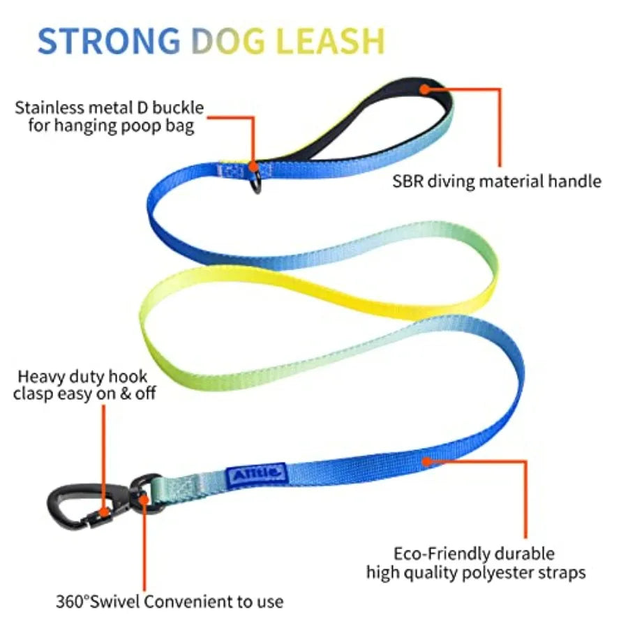 No Pull Dog Harness and Leash and Collar - Adjustable Basic Collar with A Heavy Duty Leash - Super Sturdy Buckle and D Ring - T