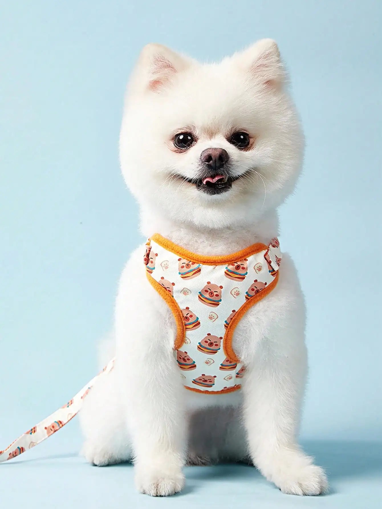 PETSIN Cute Pink Strawberry & Bear Pattern Printed Pet Dog Cat Harness & Leash Set, Suitable For Dogs And Cats